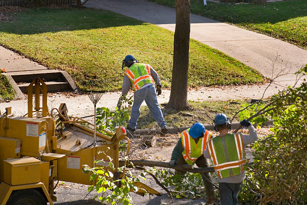  , USA Tree Care Services Pros